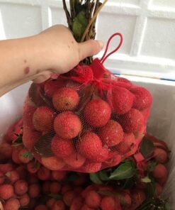 vaithieu 03 2