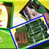 Nem Chả - Hương Vị Truyền Thống Đậm Đà của Ẩm Thực Việt